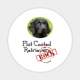 Flat Coated Retrievers Rock! Magnet